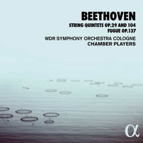 WDR SYMPHONY ORCHESTRA COLOGNE / CHAMBER PLAYERS - BEETHOVEN - STRING QUINTETS OP.29 AND 104, FUGUE OP.137WDR SYMPHONY ORCHESTRA COLOGNE - CHAMBER PLAYERS - BEETHOVEN - STRING QUINTETS OP.29 AND 104, FUGUE OP.137.jpg